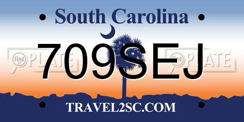 709SEJ South Carolina License Plate