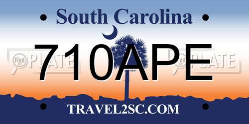 710APE South Carolina License Plate