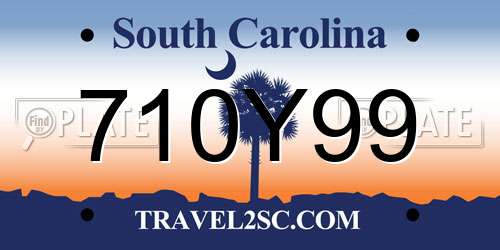 710Y99 South Carolina License Plate