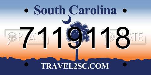 7119118 South Carolina License Plate