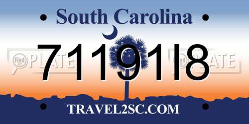 71191I8 South Carolina License Plate