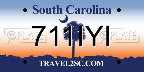 711IYI South Carolina License Plate