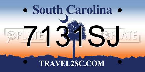 7131SJ South Carolina License Plate
