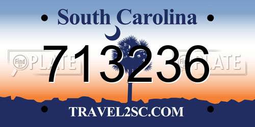713236 South Carolina License Plate