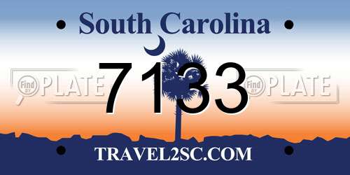 7133 South Carolina License Plate