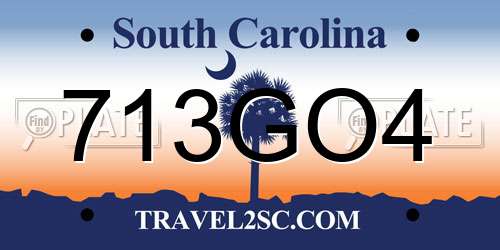 713GO4 South Carolina License Plate