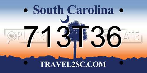 713T36 South Carolina License Plate