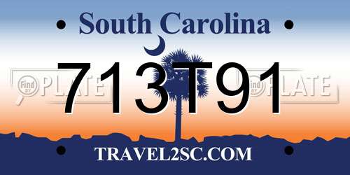 713T91 South Carolina License Plate