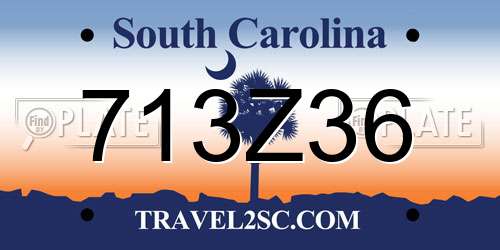 713Z36 South Carolina License Plate