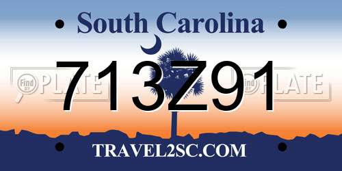 713Z91 South Carolina License Plate