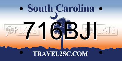 716BJI South Carolina License Plate