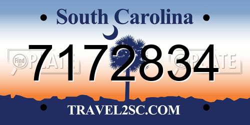 7172834 South Carolina License Plate