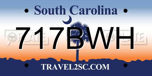 717BWH South Carolina License Plate