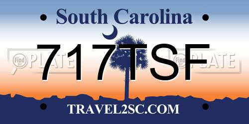 717TSF South Carolina License Plate