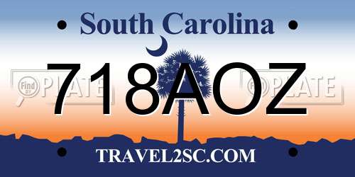 718AOZ South Carolina License Plate