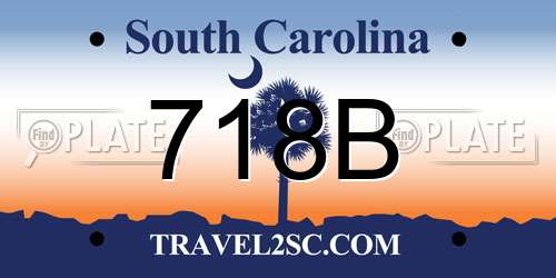 718B South Carolina License Plate