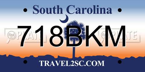 718BKM South Carolina License Plate