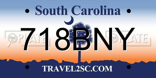 718BNY South Carolina License Plate