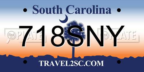 718SNY South Carolina License Plate