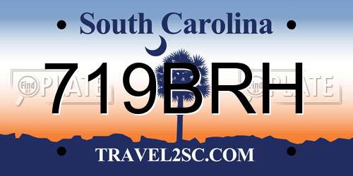 719BRH South Carolina License Plate