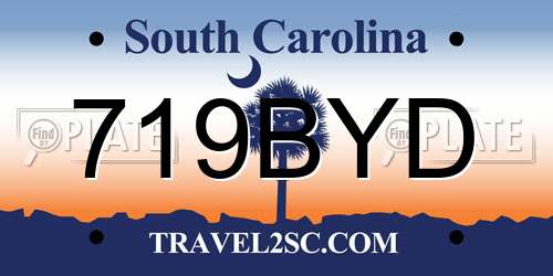 719BYD South Carolina License Plate