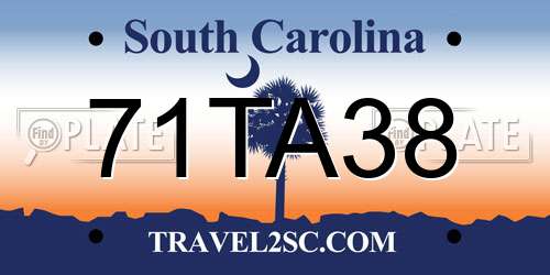 71TA38 South Carolina License Plate