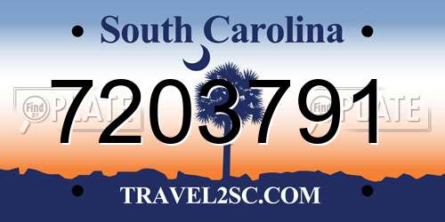 7203791 South Carolina License Plate