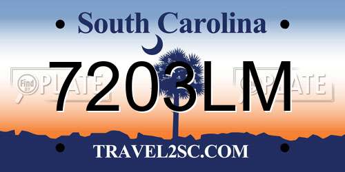 7203LM South Carolina License Plate