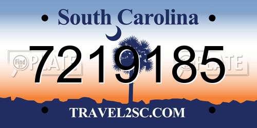 7219185 South Carolina License Plate