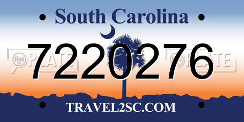 7220276 South Carolina License Plate