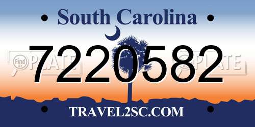 7220582 South Carolina License Plate