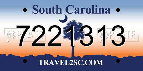 7221313 South Carolina License Plate