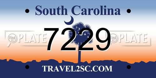 7229 South Carolina License Plate