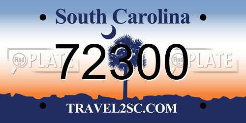 72300 South Carolina License Plate