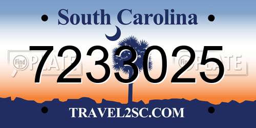 7233025 South Carolina License Plate