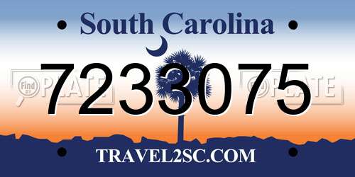 7233075 South Carolina License Plate