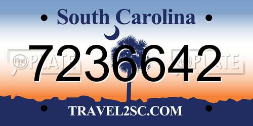 7236642 South Carolina License Plate