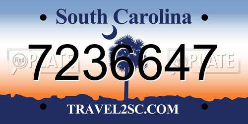 7236647 South Carolina License Plate