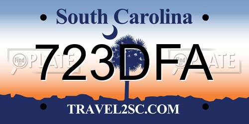 723DFA South Carolina License Plate