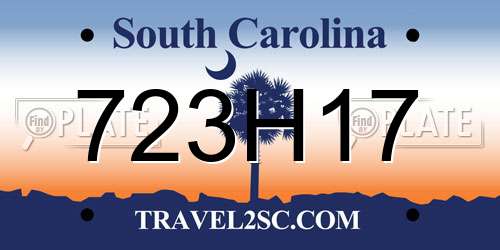 723H17 South Carolina License Plate