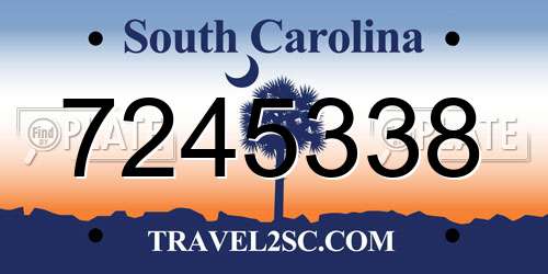 7245338 South Carolina License Plate