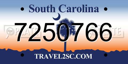 7250766 South Carolina License Plate