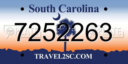7252263 South Carolina License Plate