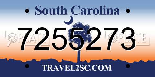 7255273 South Carolina License Plate