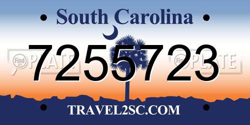 7255723 South Carolina License Plate