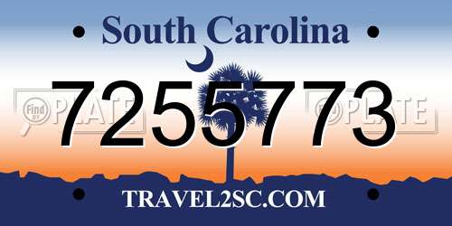 7255773 South Carolina License Plate