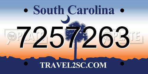 7257263 South Carolina License Plate