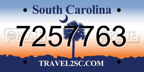 7257763 South Carolina License Plate