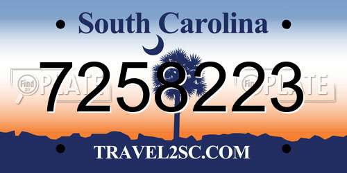 7258223 South Carolina License Plate