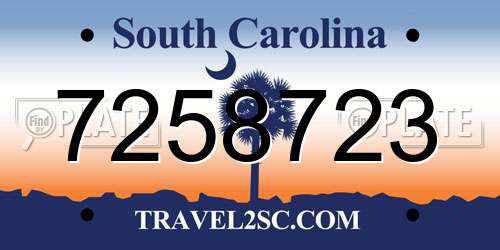 7258723 South Carolina License Plate
